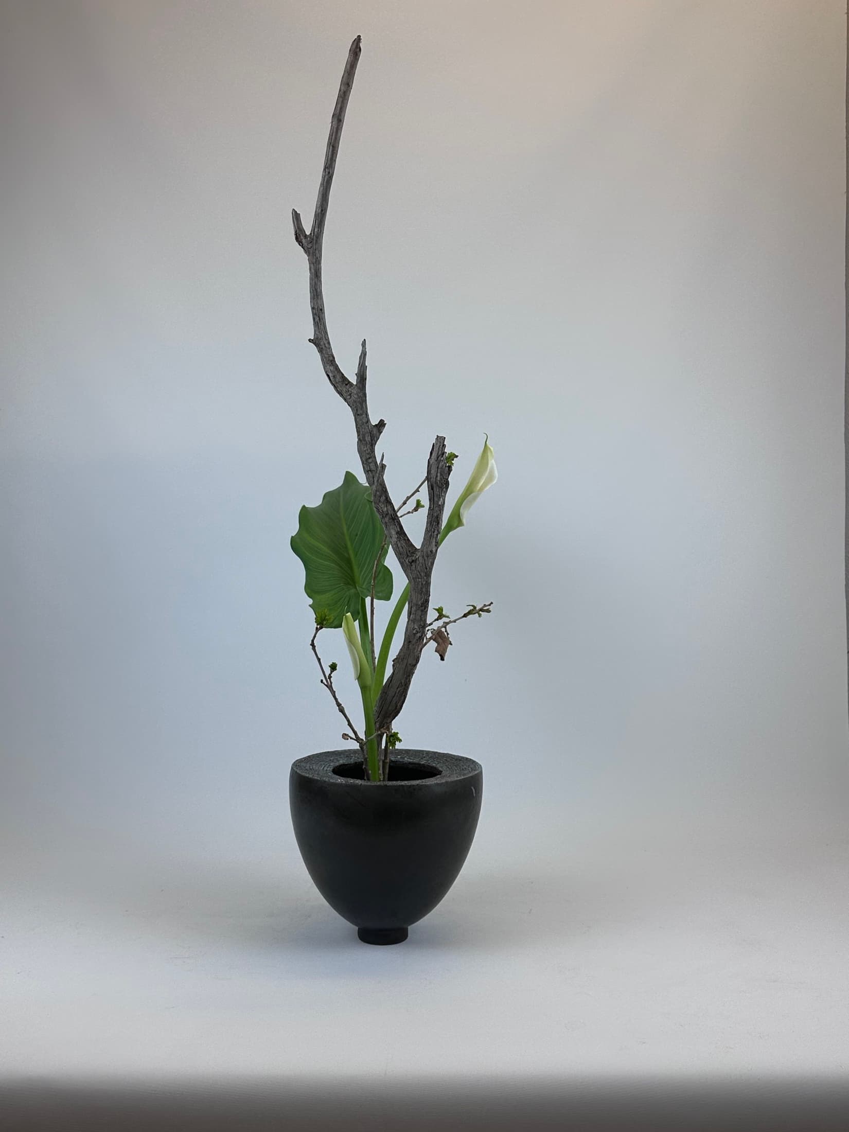 Flaches Ikebana-Gefäss